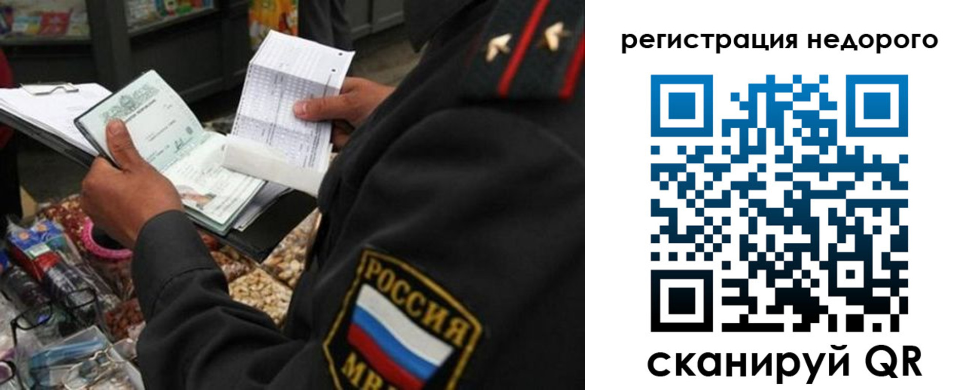 прописка поиск в Сафоново